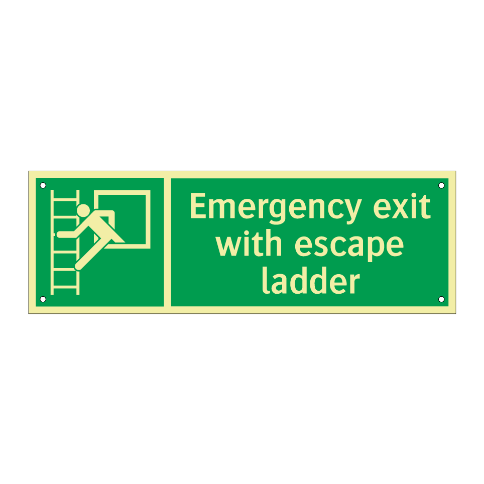 Emergency exit with escape ladder