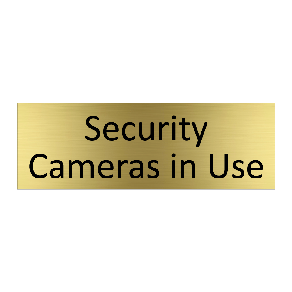 Security Cameras in Use