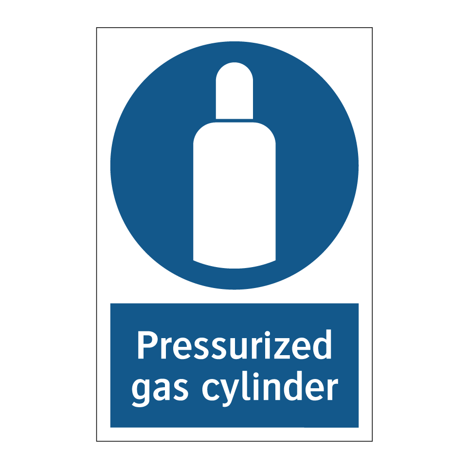 Pressurized gas cylinder