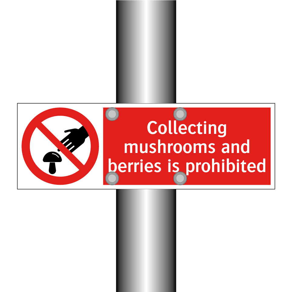 Collecting mushrooms and berries is prohibited