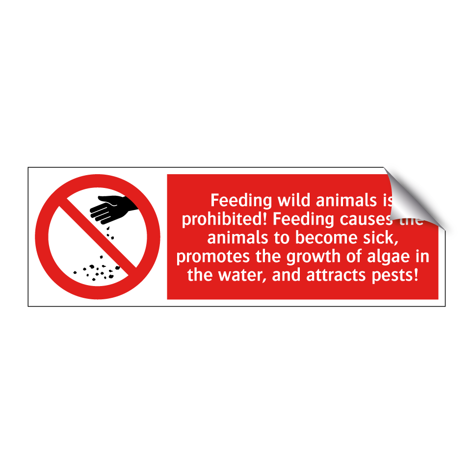 Feeding wild animals is prohibited! Feeding causes the animals to become sick, promotes the growth of algae in the water, and attracts pests!