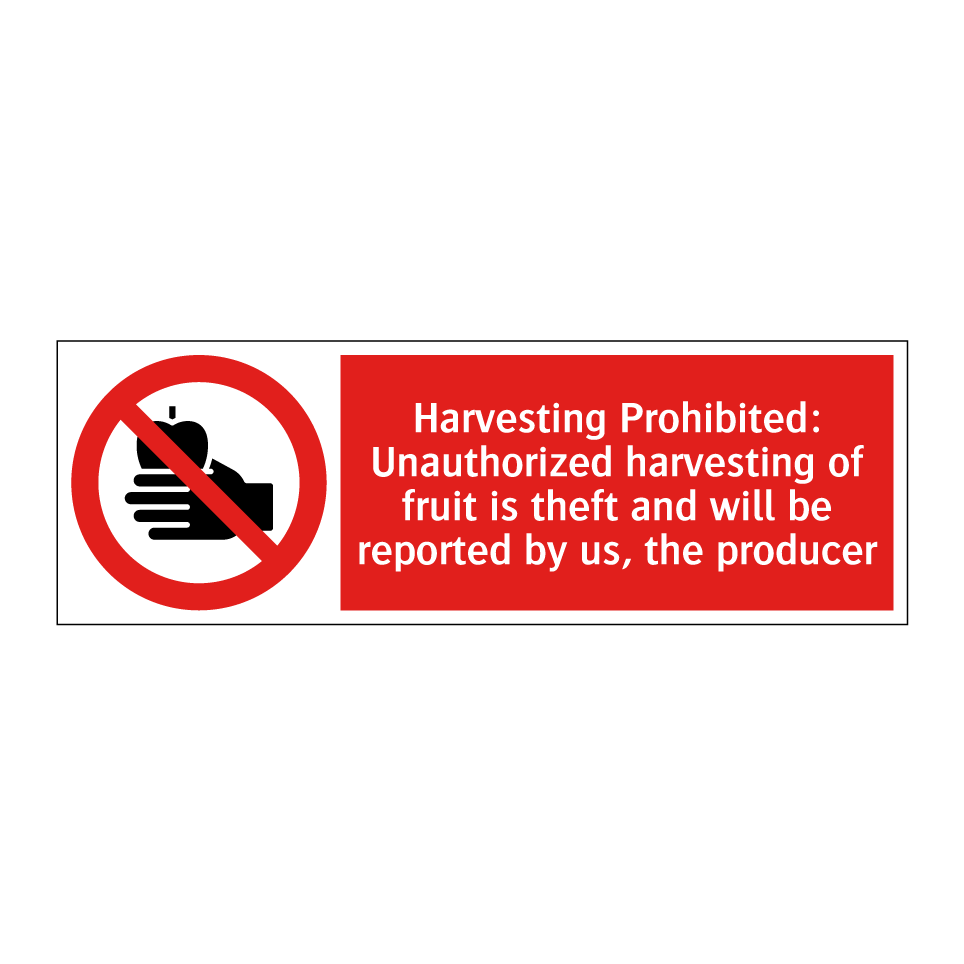Harvesting Prohibited: Unauthorized harvesting of fruit is theft and will be reported by us, the producer