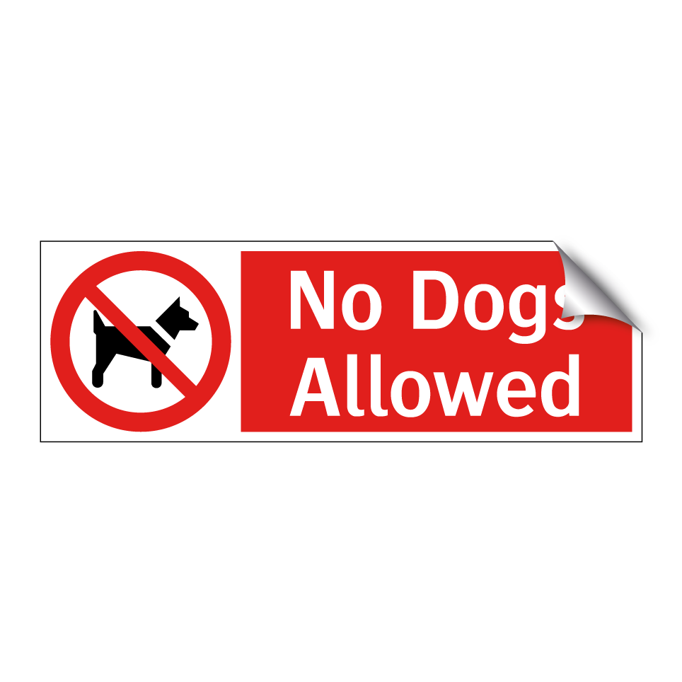 No Dogs Allowed