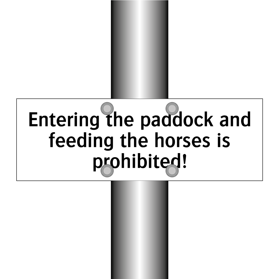 Entering the paddock and feeding the horses is prohibited!