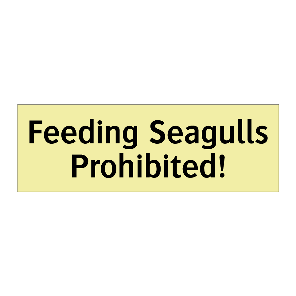 Feeding Seagulls Prohibited!