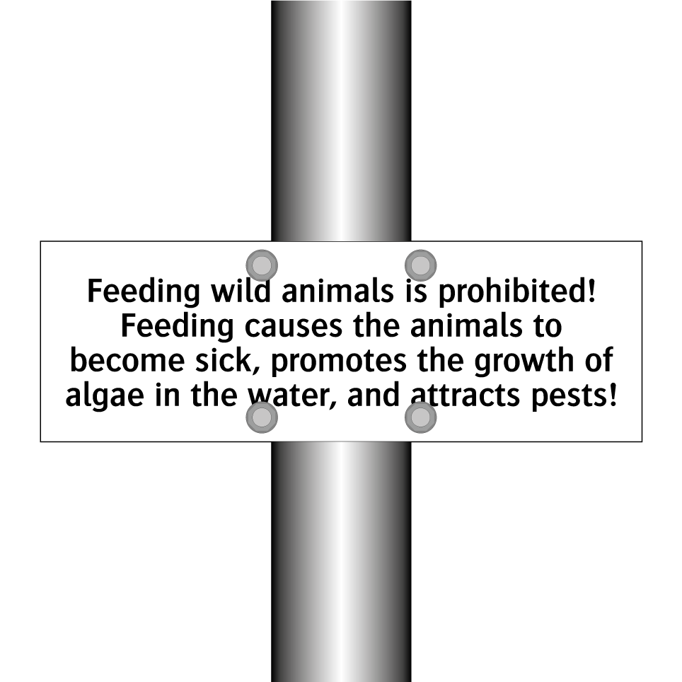 Feeding wild animals is prohibited! Feeding causes the animals to become sick, promotes the growth of algae in the water, and attracts pests!