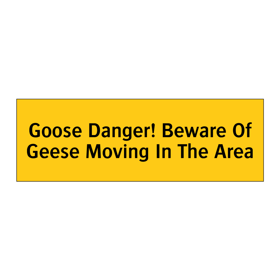 Goose Danger! Beware Of Geese Moving In The Area