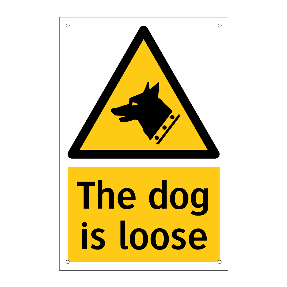 The dog is loose