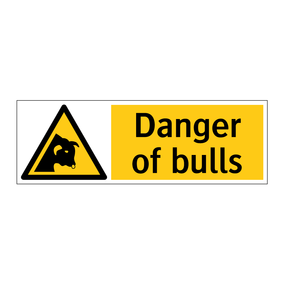 Danger of bulls