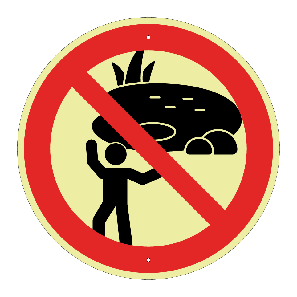 No playing near pond