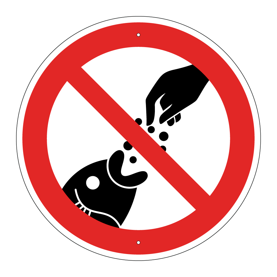 No feeding fish