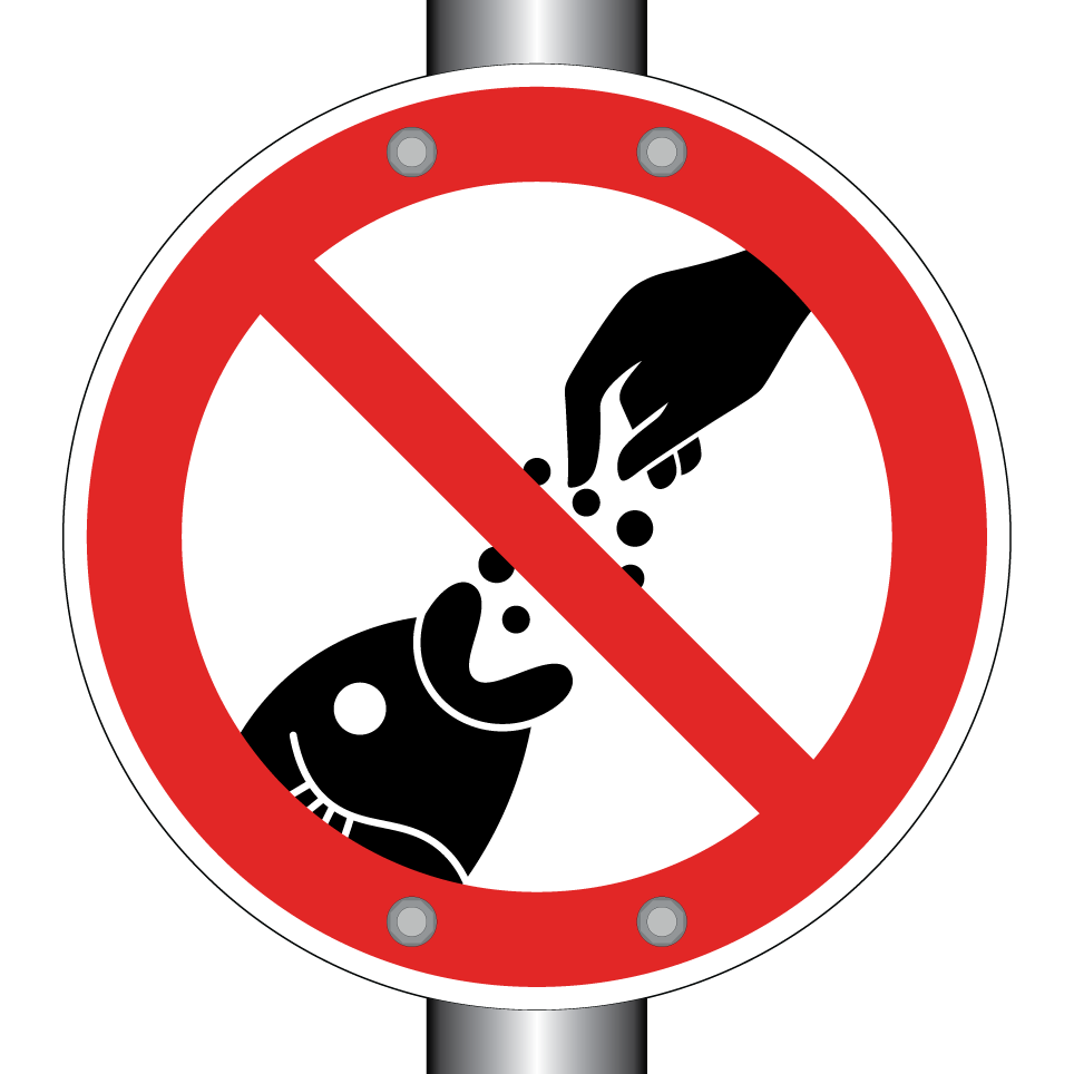 No feeding fish