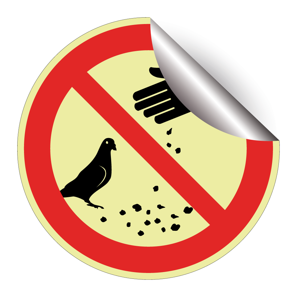 No feeding pigeons