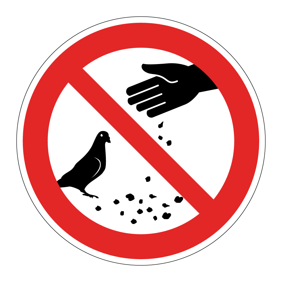 No feeding pigeons