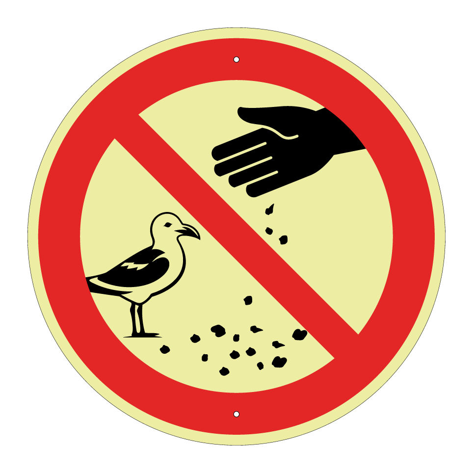 No feeding gulls