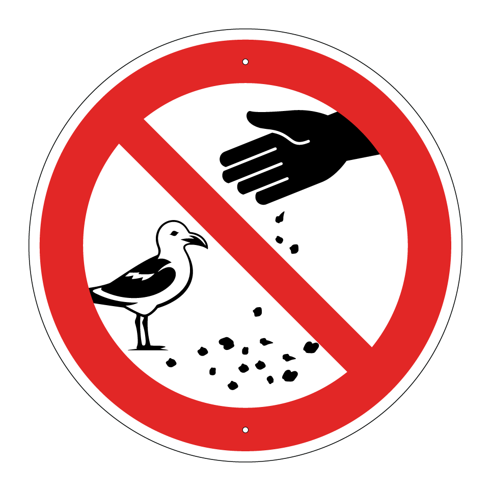 No feeding gulls