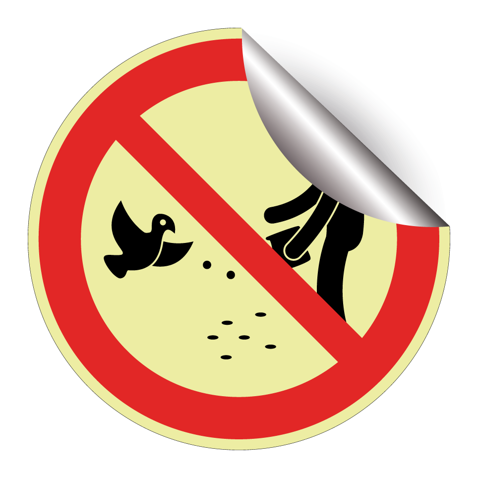 No feeding birds