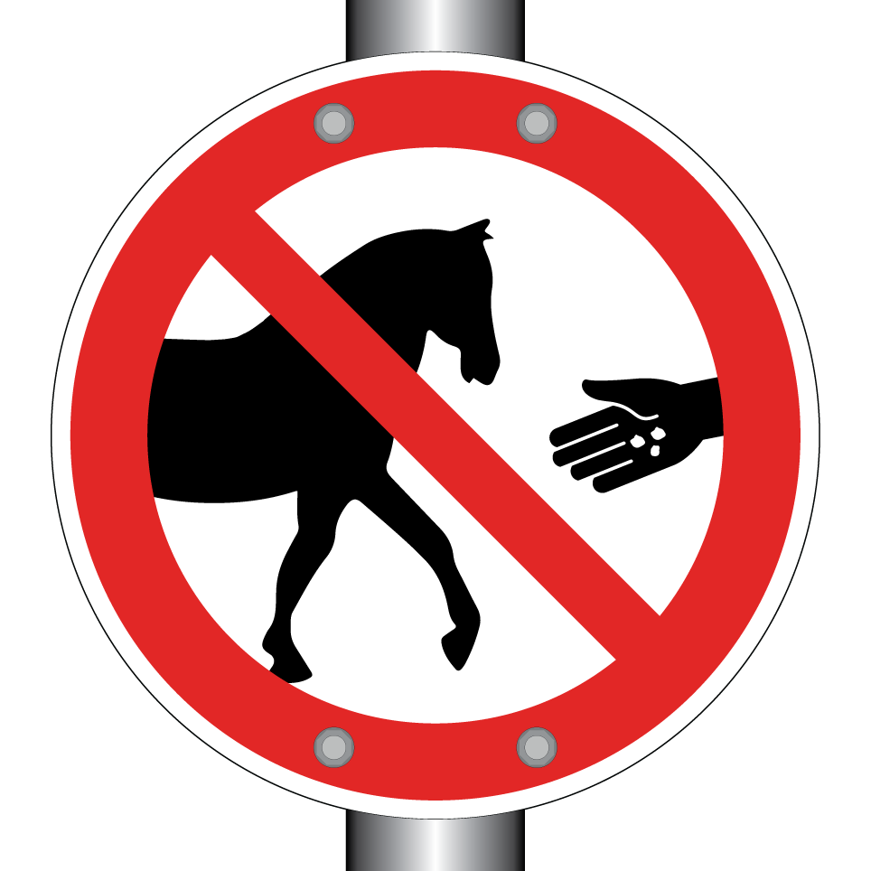 No feeding horses