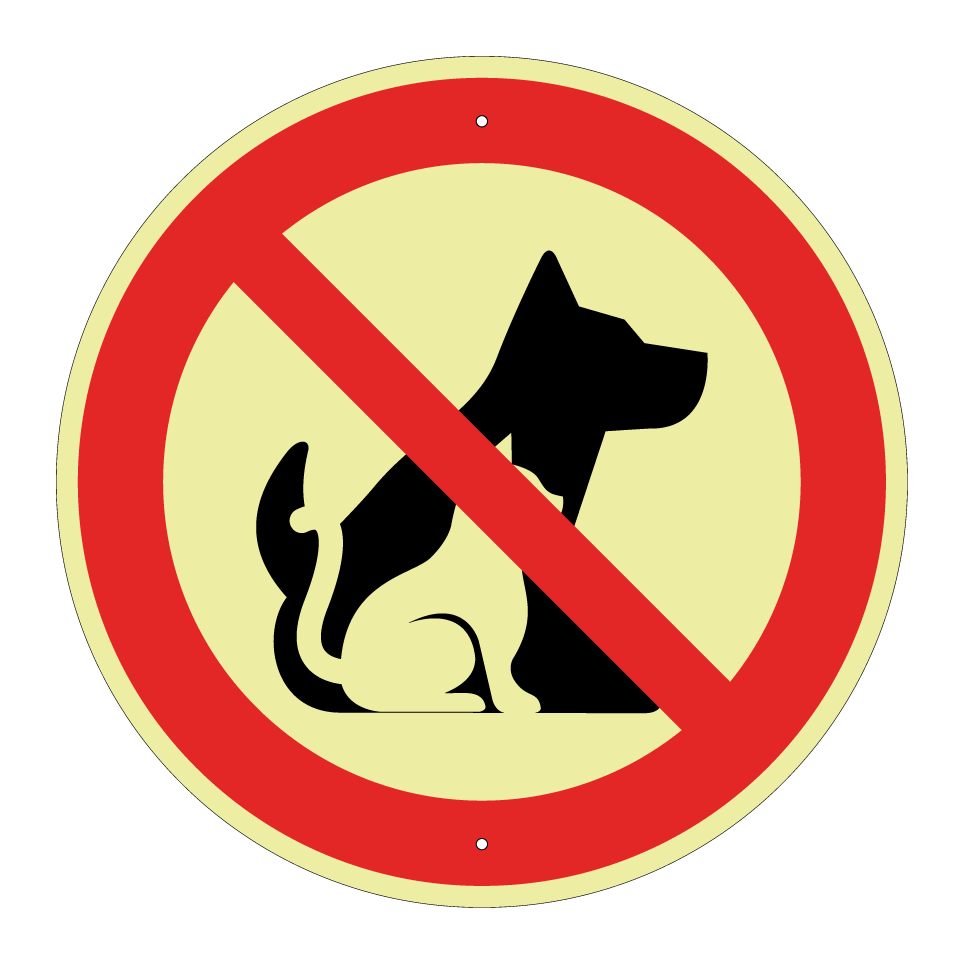 No dogs or cat allowed