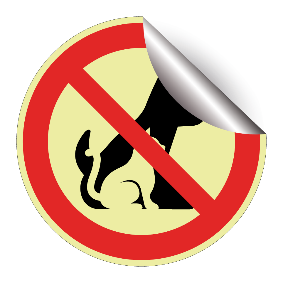No dogs or cat allowed