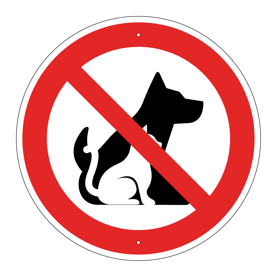 No dogs or cat allowed