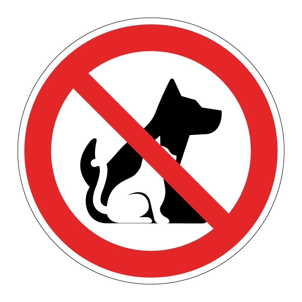 No dogs or cat allowed