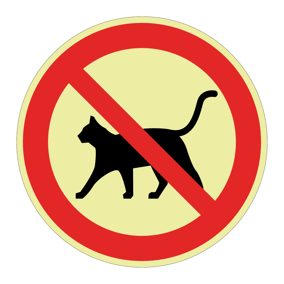 No cats