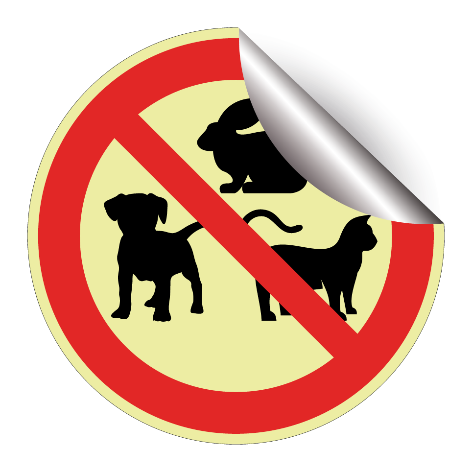 No pets