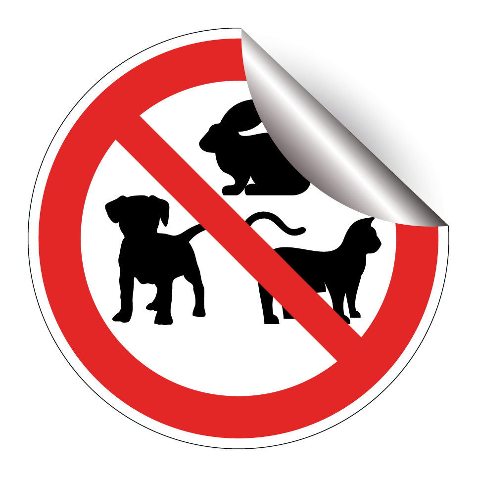 No pets