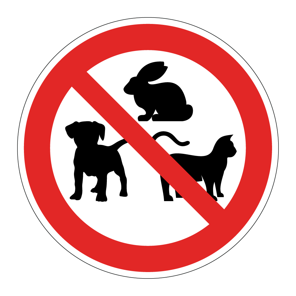 No pets