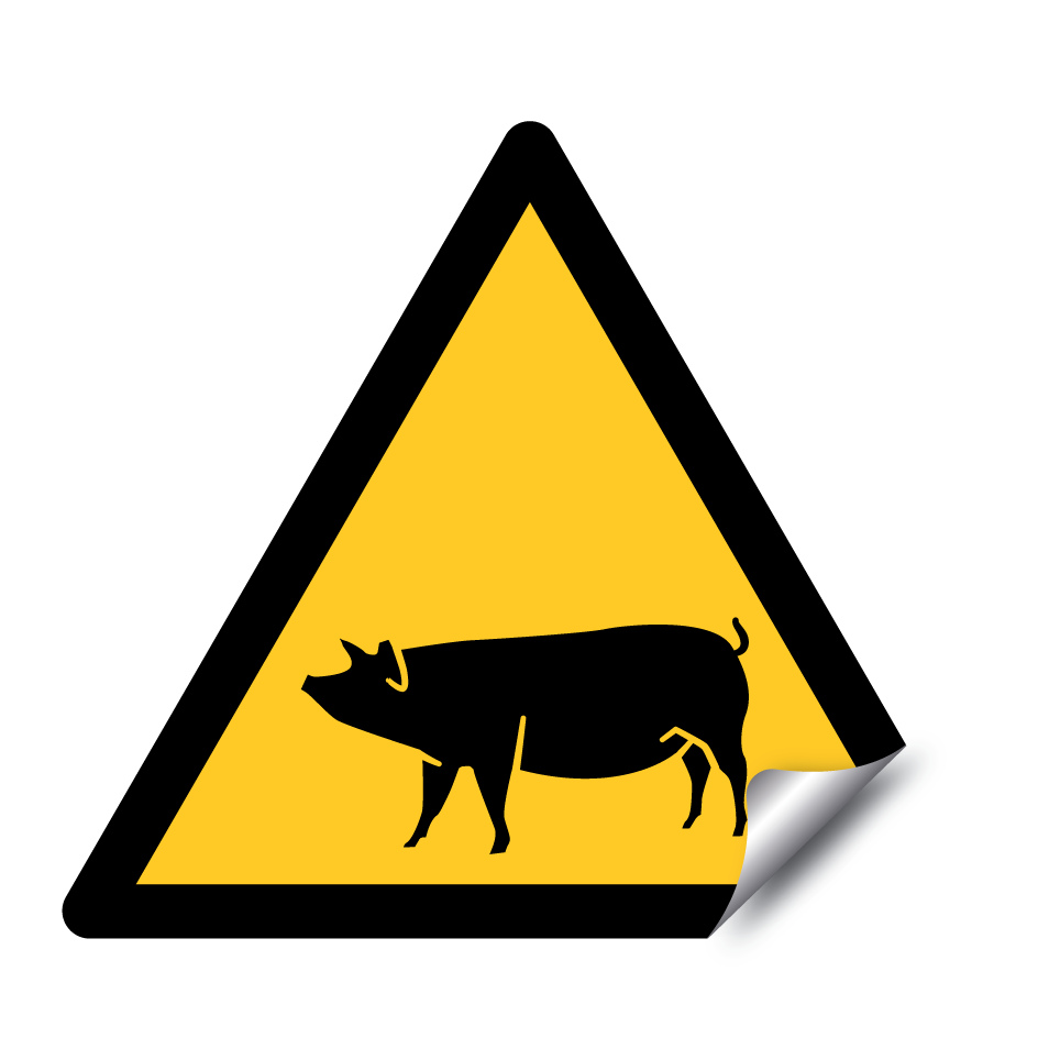 Warning pig