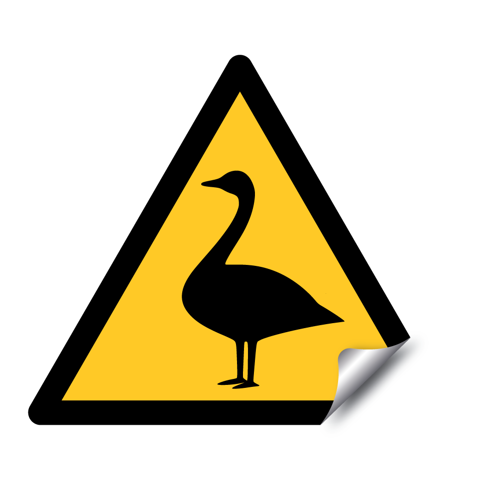 Warning goose