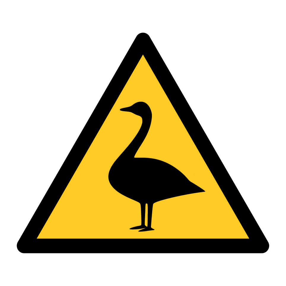 Warning goose