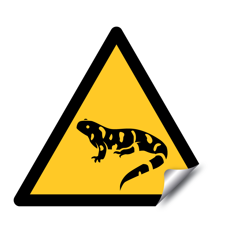 Warning salamander