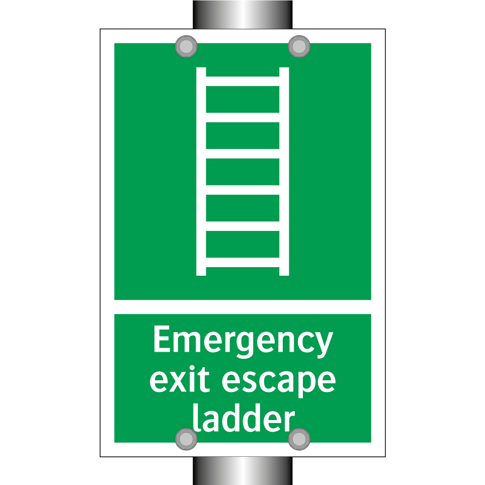 Emergency exit escape ladder