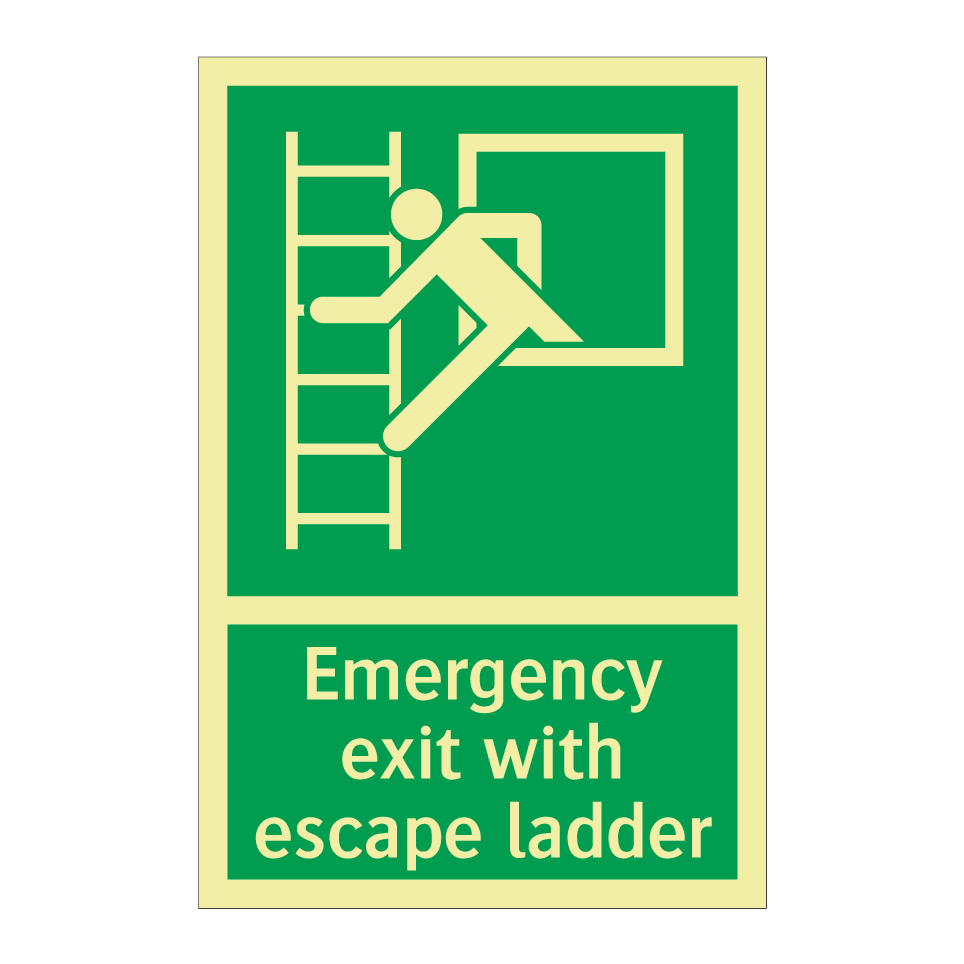 Emergency exit with escape ladder