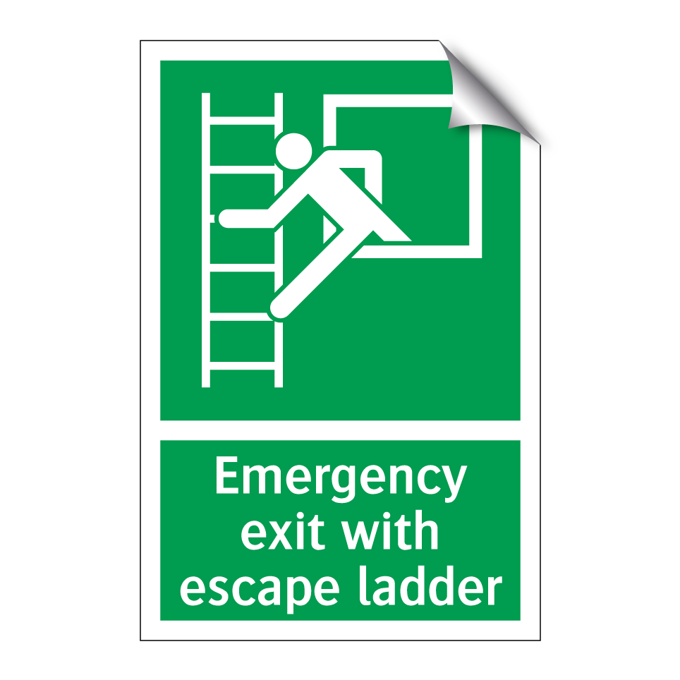 Emergency exit with escape ladder