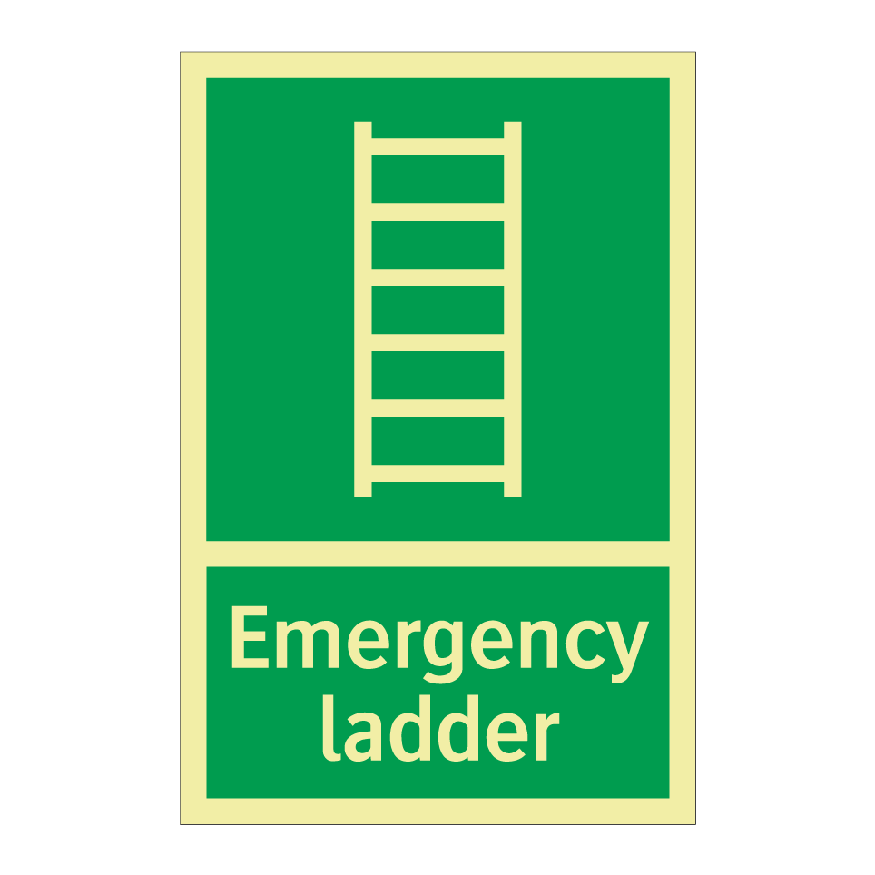 Emergency ladder