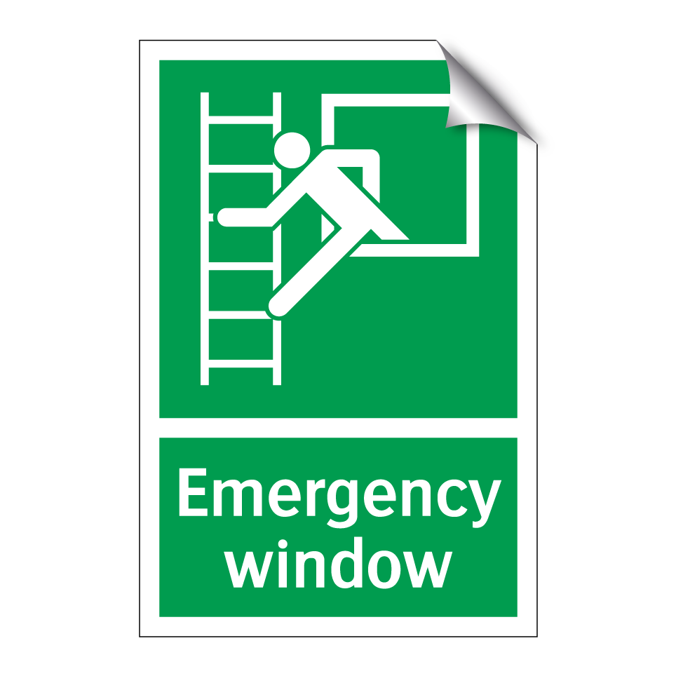 Emergency window
