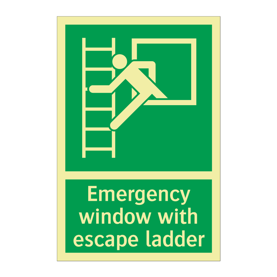 Emergency window with escape ladder