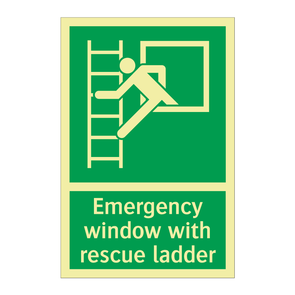 Emergency window with rescue ladder