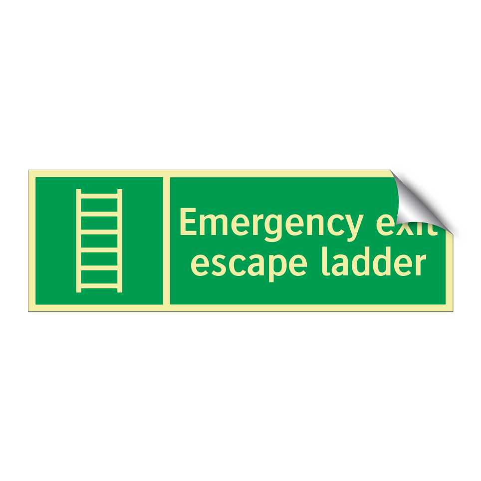 Emergency exit escape ladder