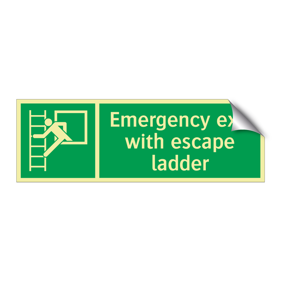 Emergency exit with escape ladder