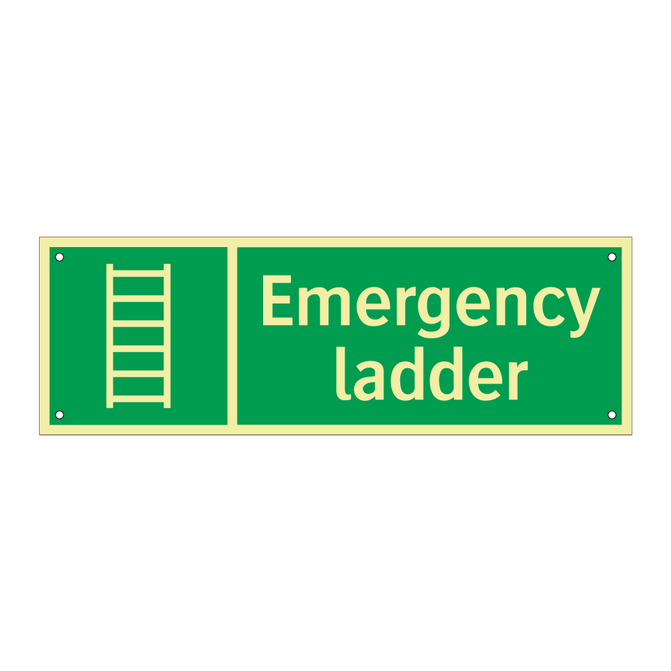 Emergency ladder
