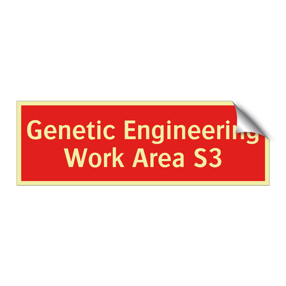 Genetic Engineering Work Area S3