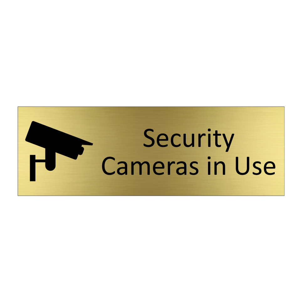 Security Cameras in Use