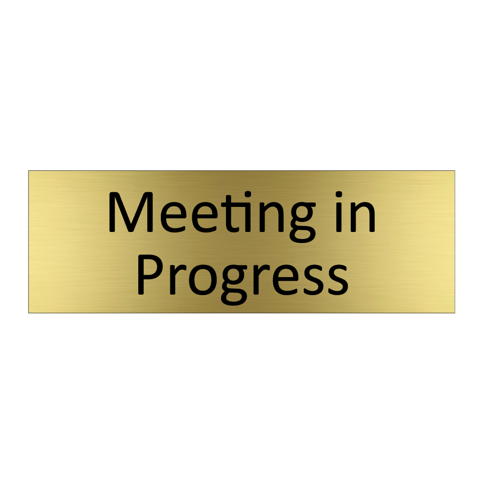 Meeting in Progress