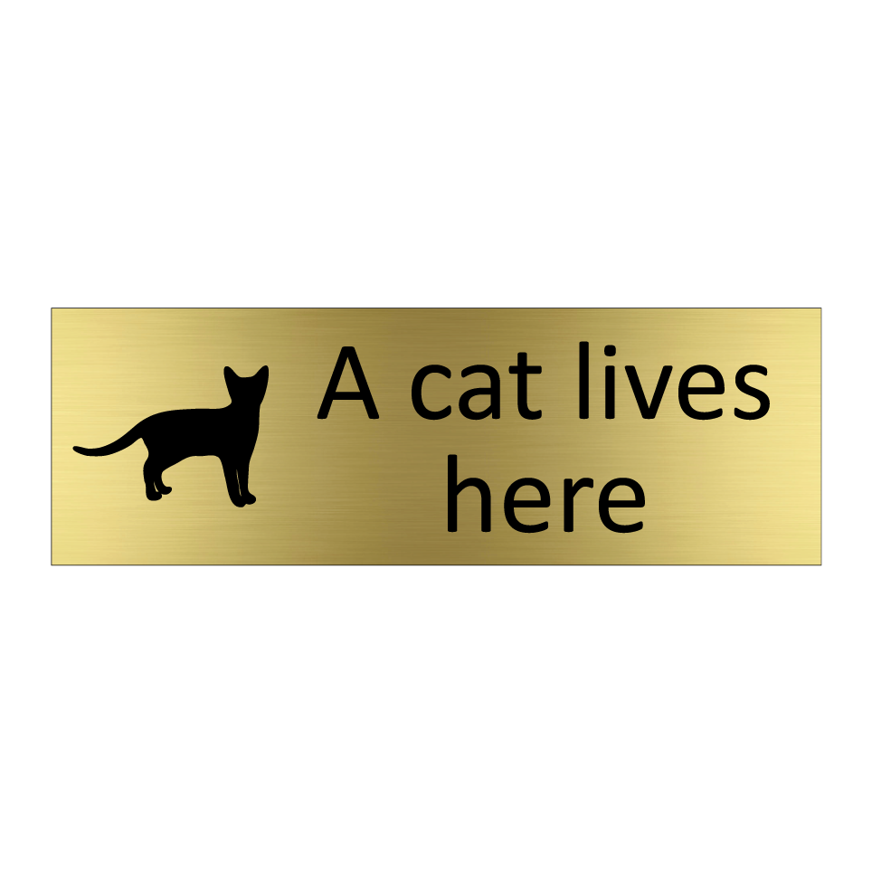 A cat lives here