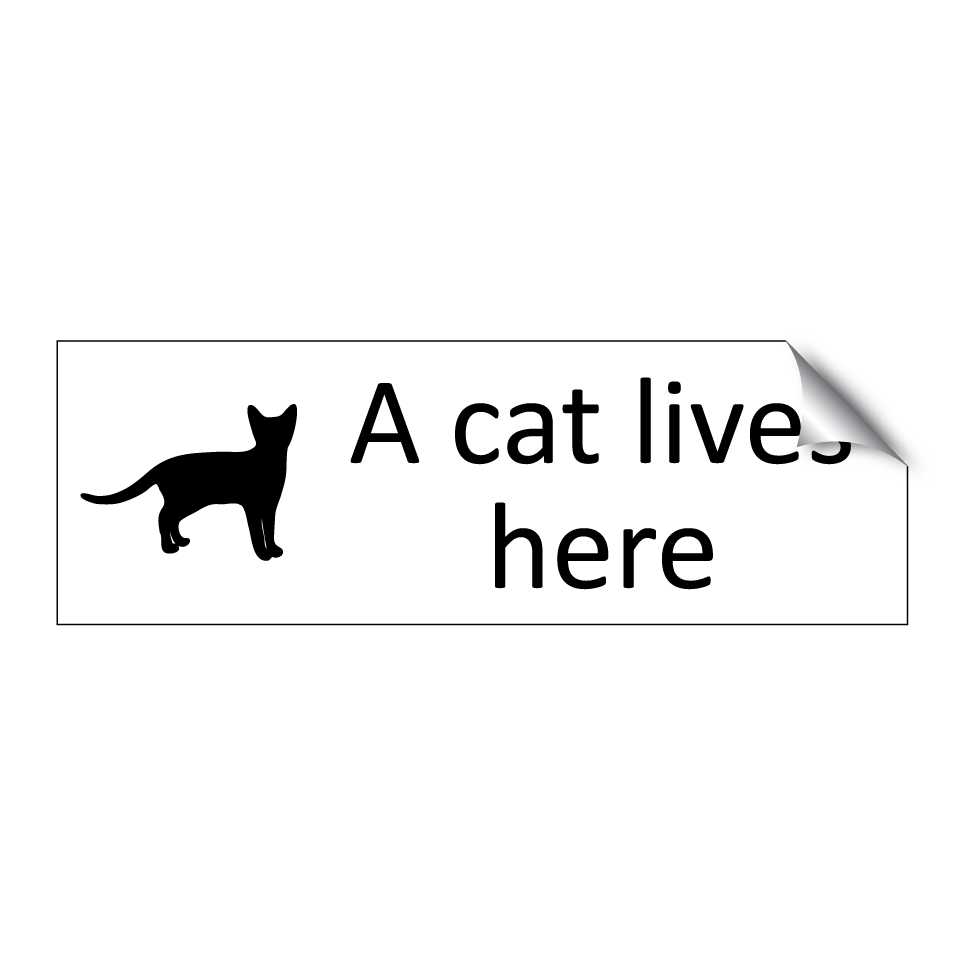 A cat lives here