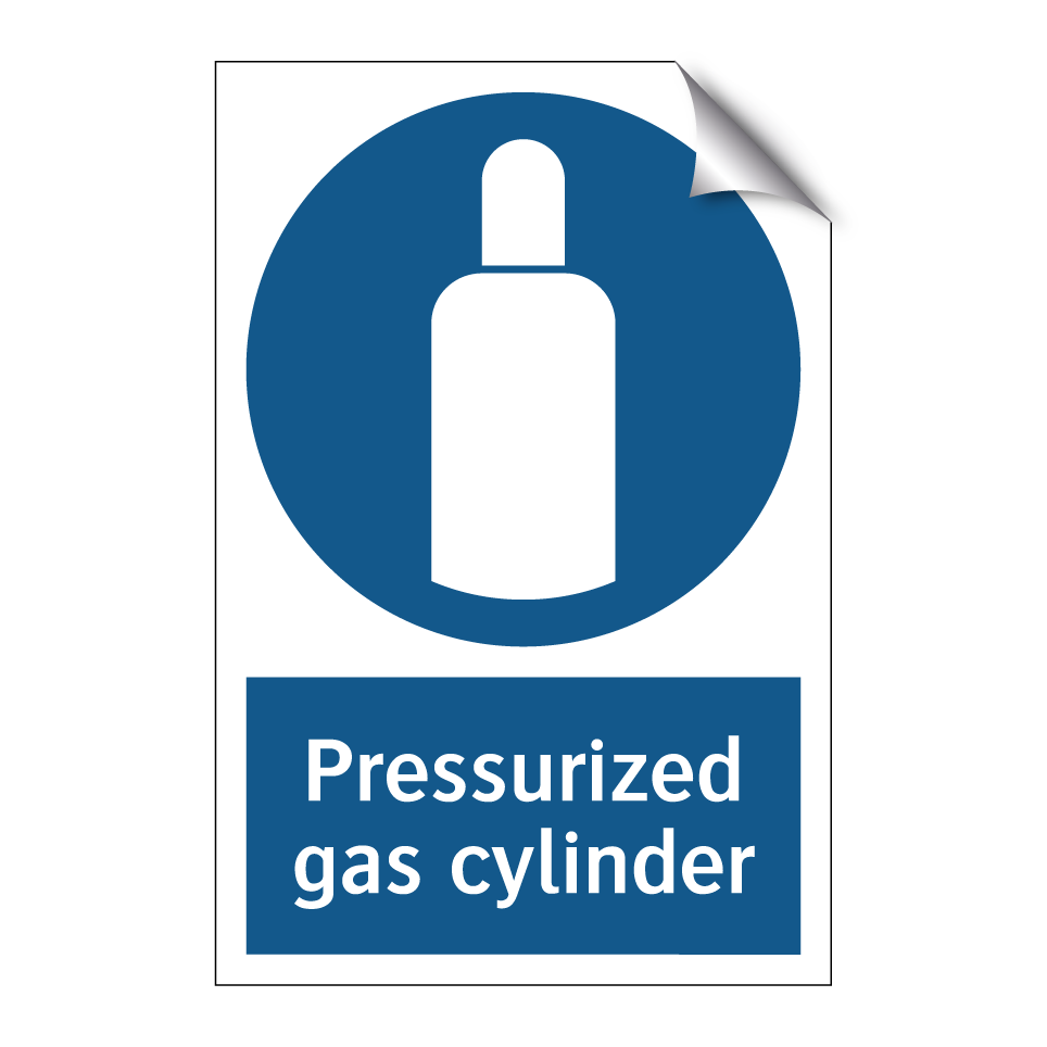 Pressurized gas cylinder